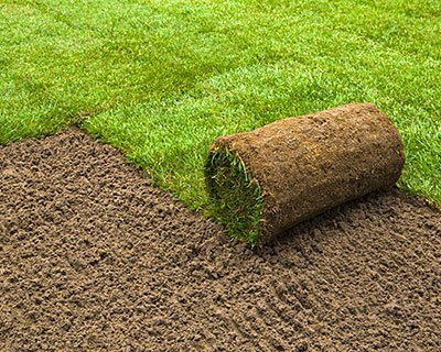 Sod Installation Near Me