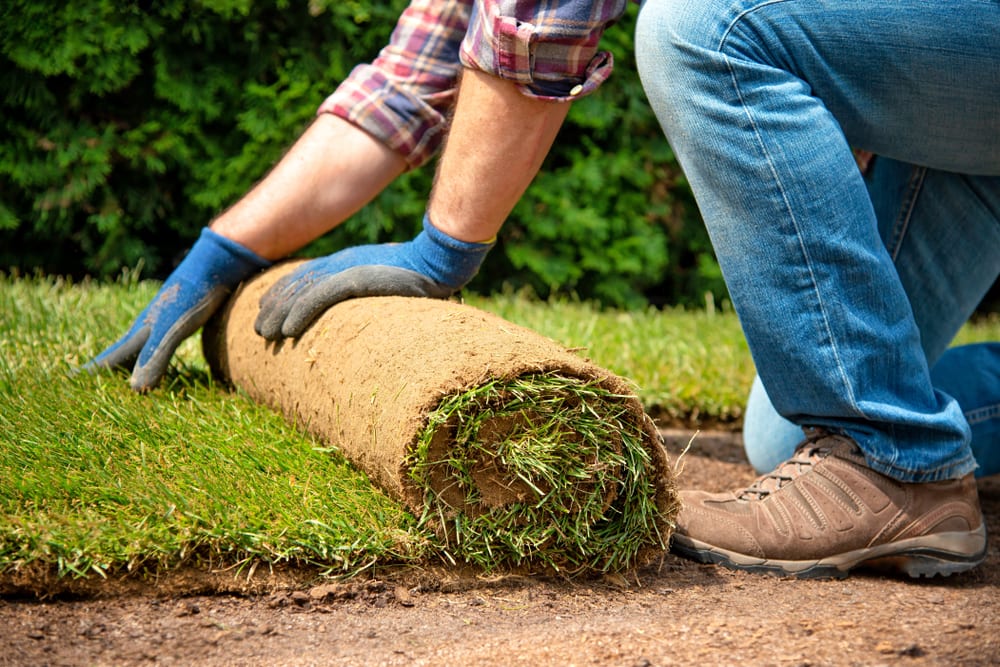 Hendersonville Sod Installation