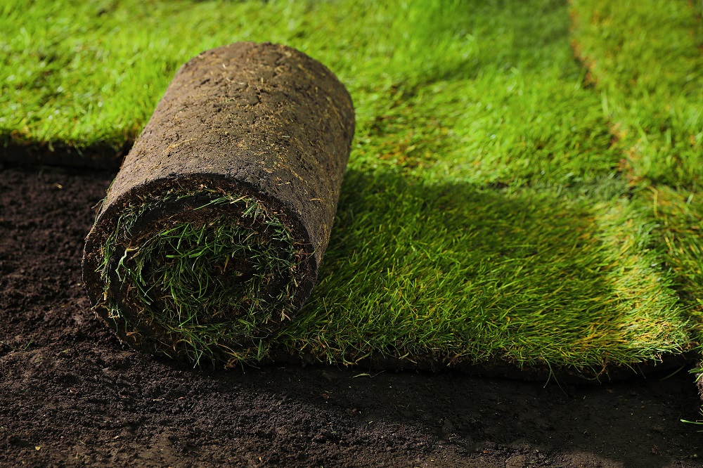 Sod Laying Company